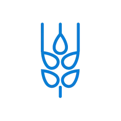 Blaues Icon einer Weizenähre – Symbol für professionelle Bewässerung in der Landwirtschaft und im Ackerbau.