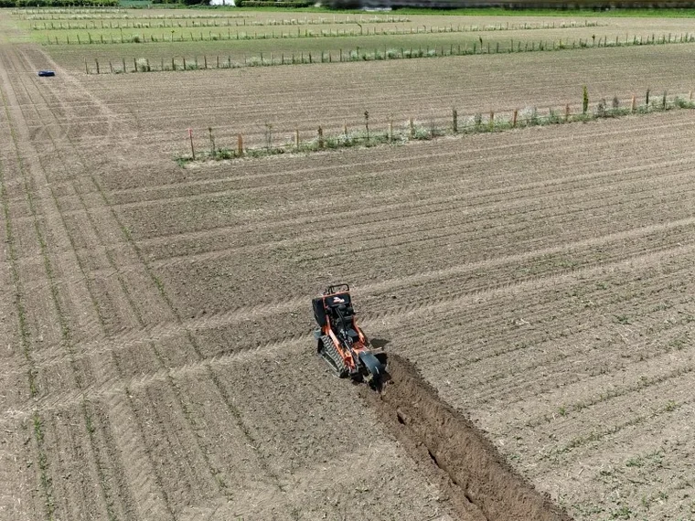Frisch gepflanzte Baumreihe auf dem Acker im Agroforst-Pilotprojekt Kleve