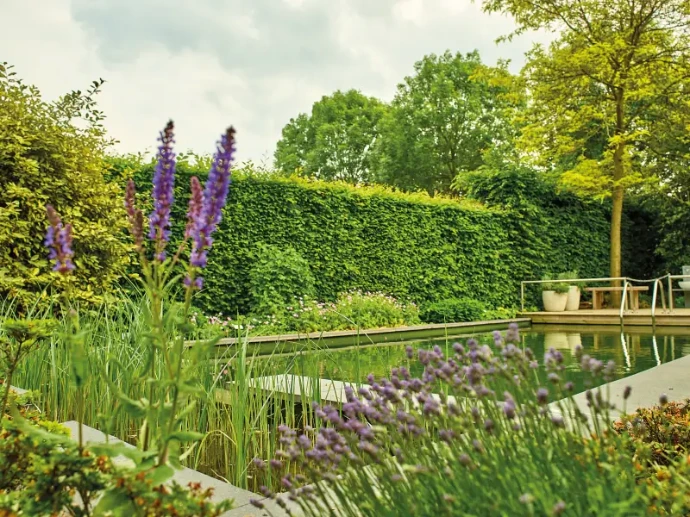 Panoramaaufnahme einer modernen Badeteichlandschaft in einem Garten