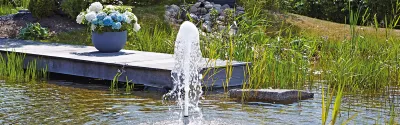 Wasserfontäne im Teich