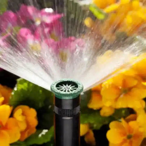 hunter-spruehduese-vor-bluetenpflanzen