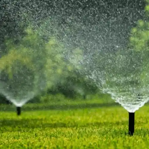 bewaesserung-mit-mehreren regnern-als-sektor