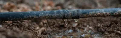 tropfleitung-bei-der-bewaesserung-im-feld