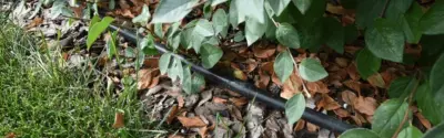 tropfleitung-an-einer-hecke