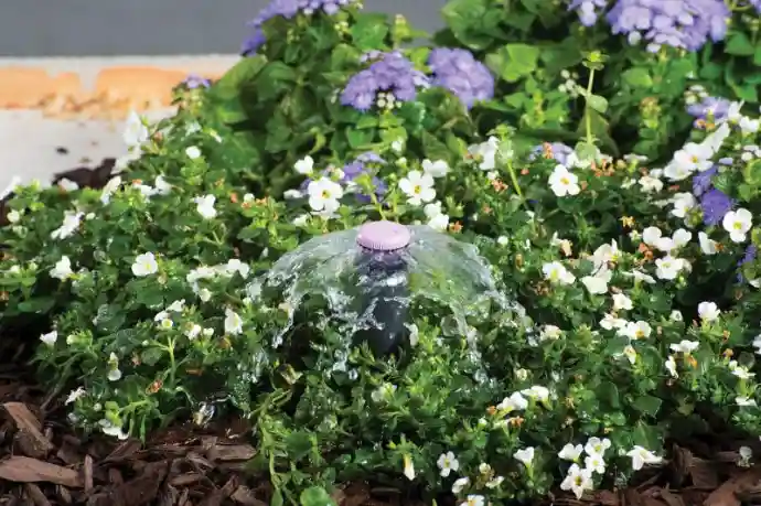 hunter-bubblerduese-bei-der-beetbewaesserung