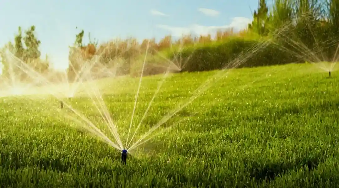 hunter-mp-rotatoren-bei-der-beregnung-im-hausgarten