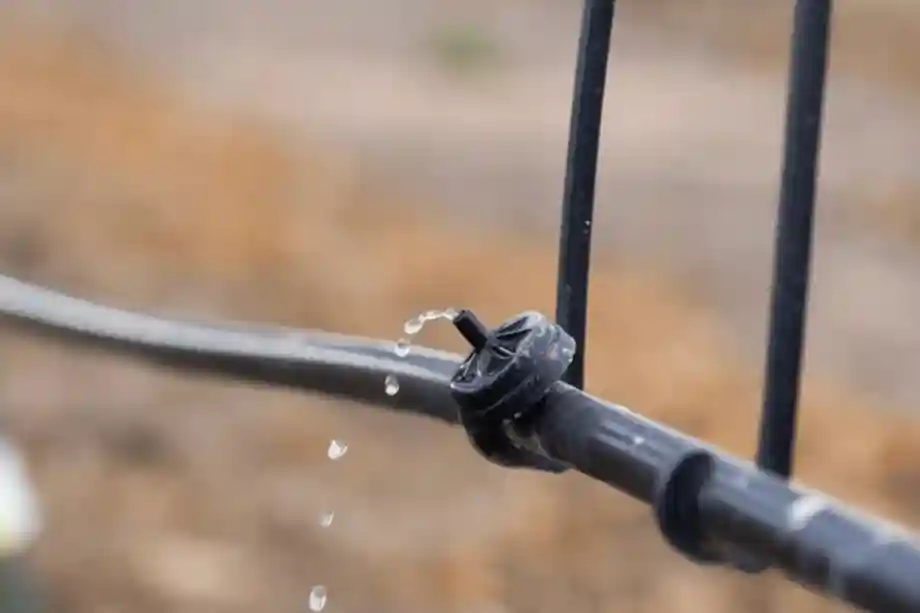 netafim-pc-tropfer-bei-der-bewaesserung-im-feld