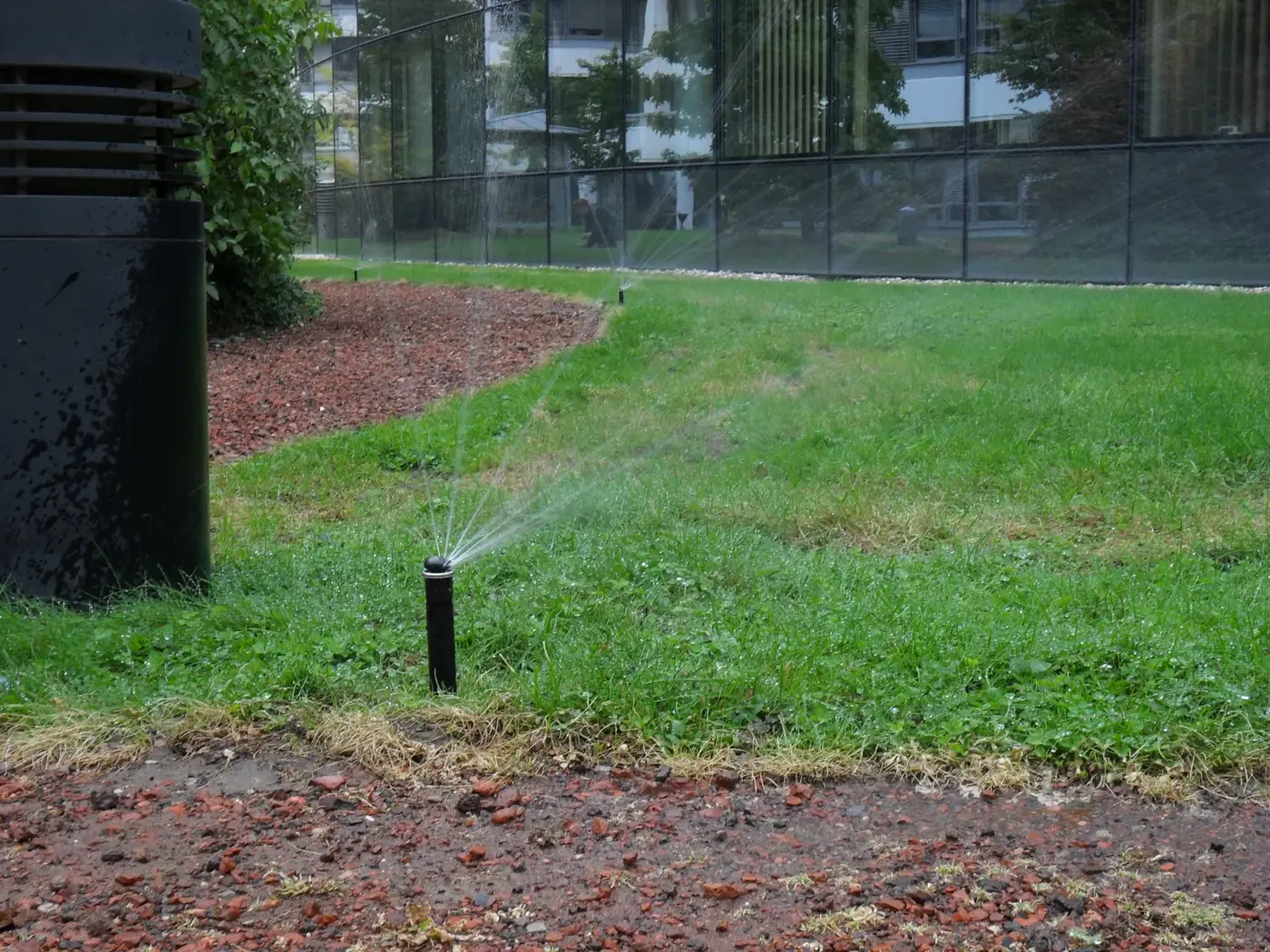 Rotator im Rindenmulchbeet neben dem Rasen