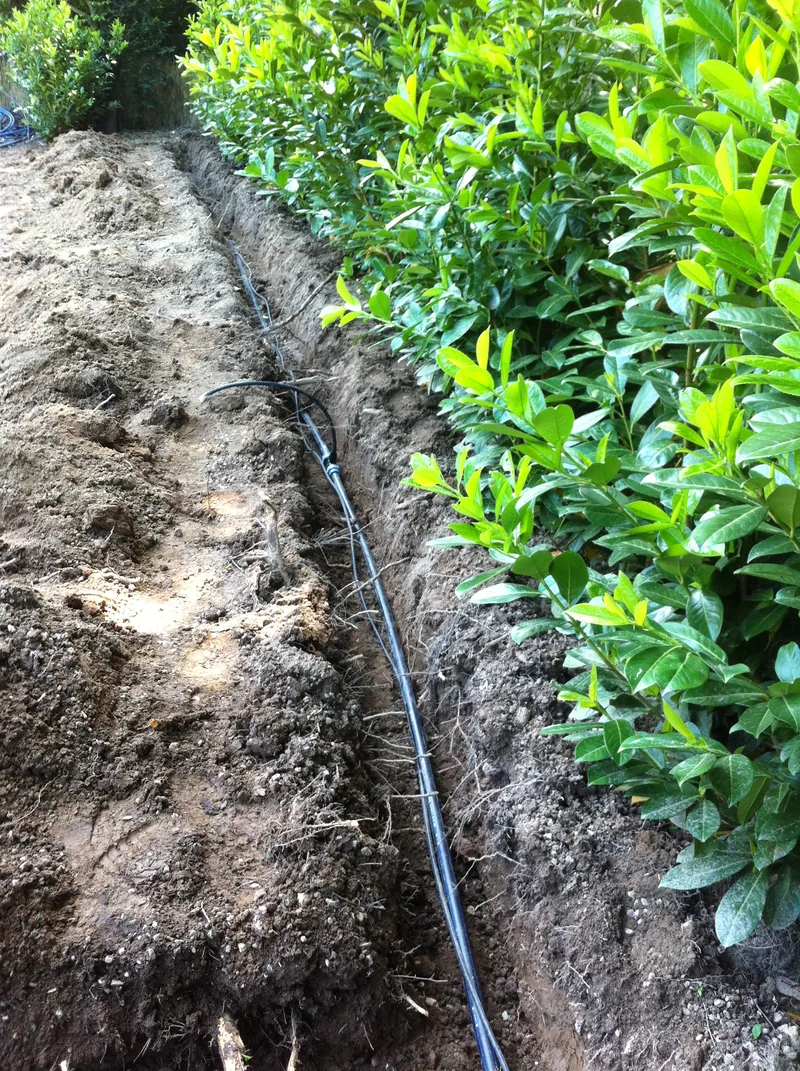 Leitung im Graben entlang einer frisch gepflanzten Kirschlorbeerhecke