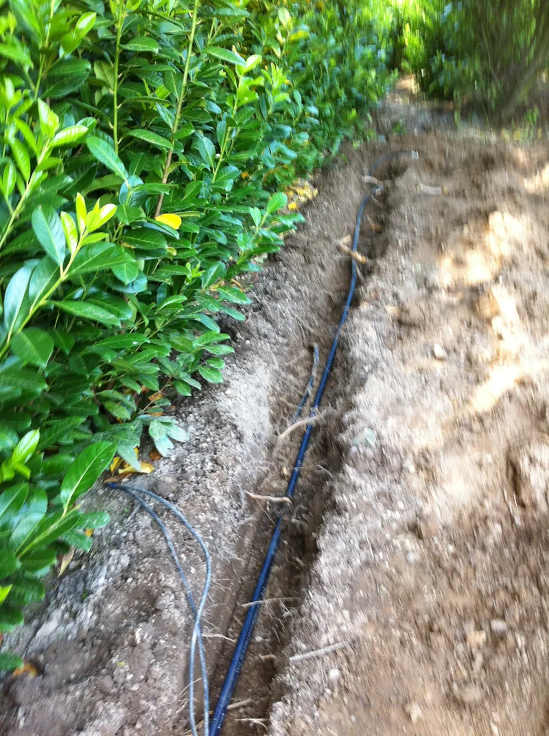 Graben an der Hecke mit sauber eingelegtem Rohr