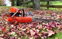 2023__05__Autumn-1.jpg