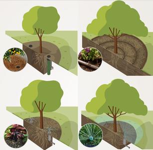 Automatische Baumbewässerung: 4 Methoden
