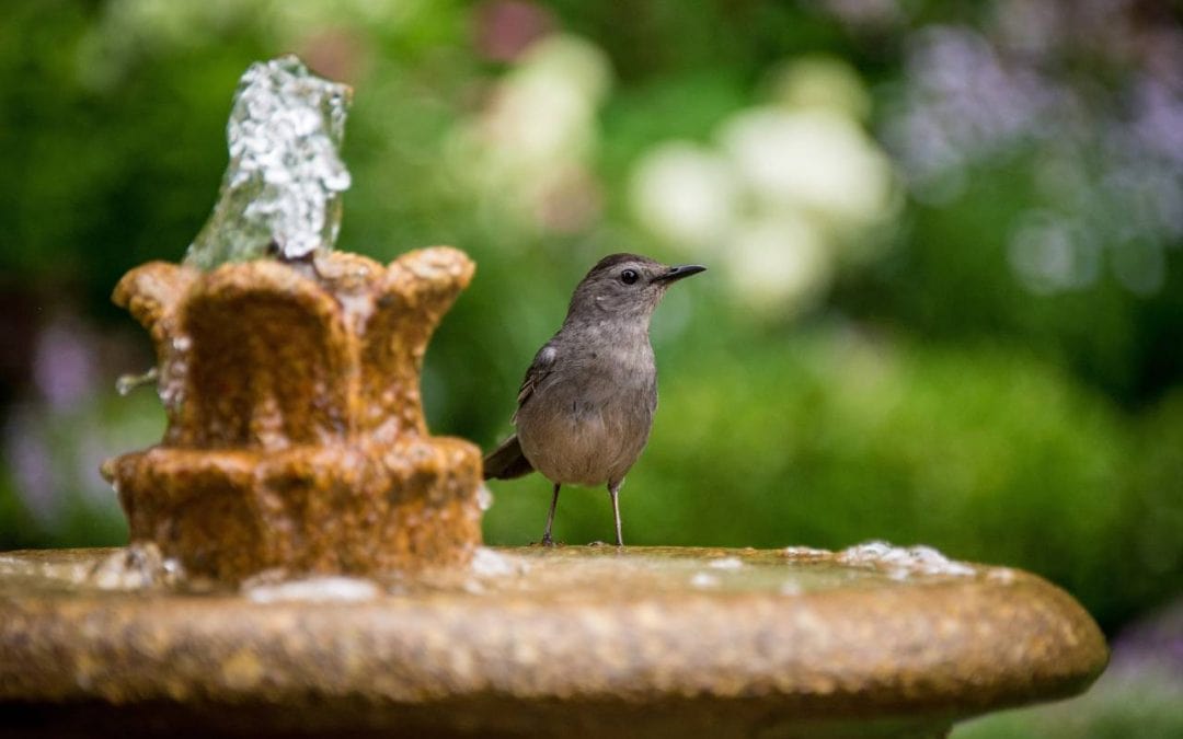 Pumpe für Wasserspiel und Quellstein