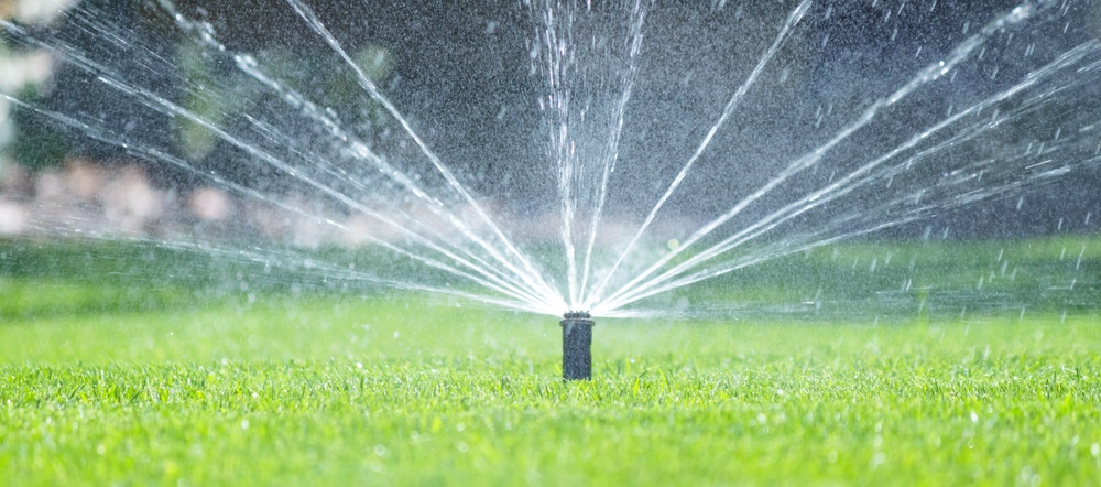 Warum sich Gartenbesitzer für automatische Bewässerung entscheiden