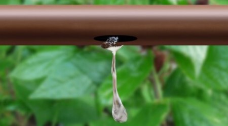 tropfleitung-für-beete-und pflanzen