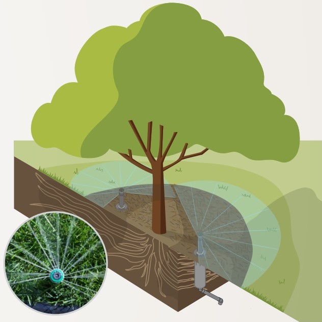 Wurzelbewässerung Baum mit ausfahrbaren hunter mp rotator duesen Wurzelbewässerung Baum mit ausfahrbaren hunter mp rotator duesen