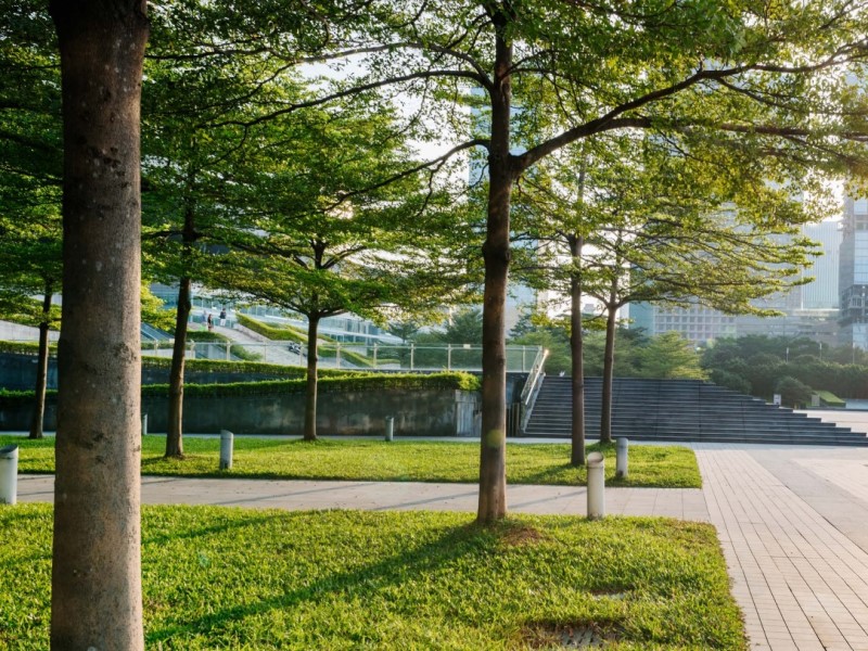 bewaesserung von baeumen bewaesserung von baeumen